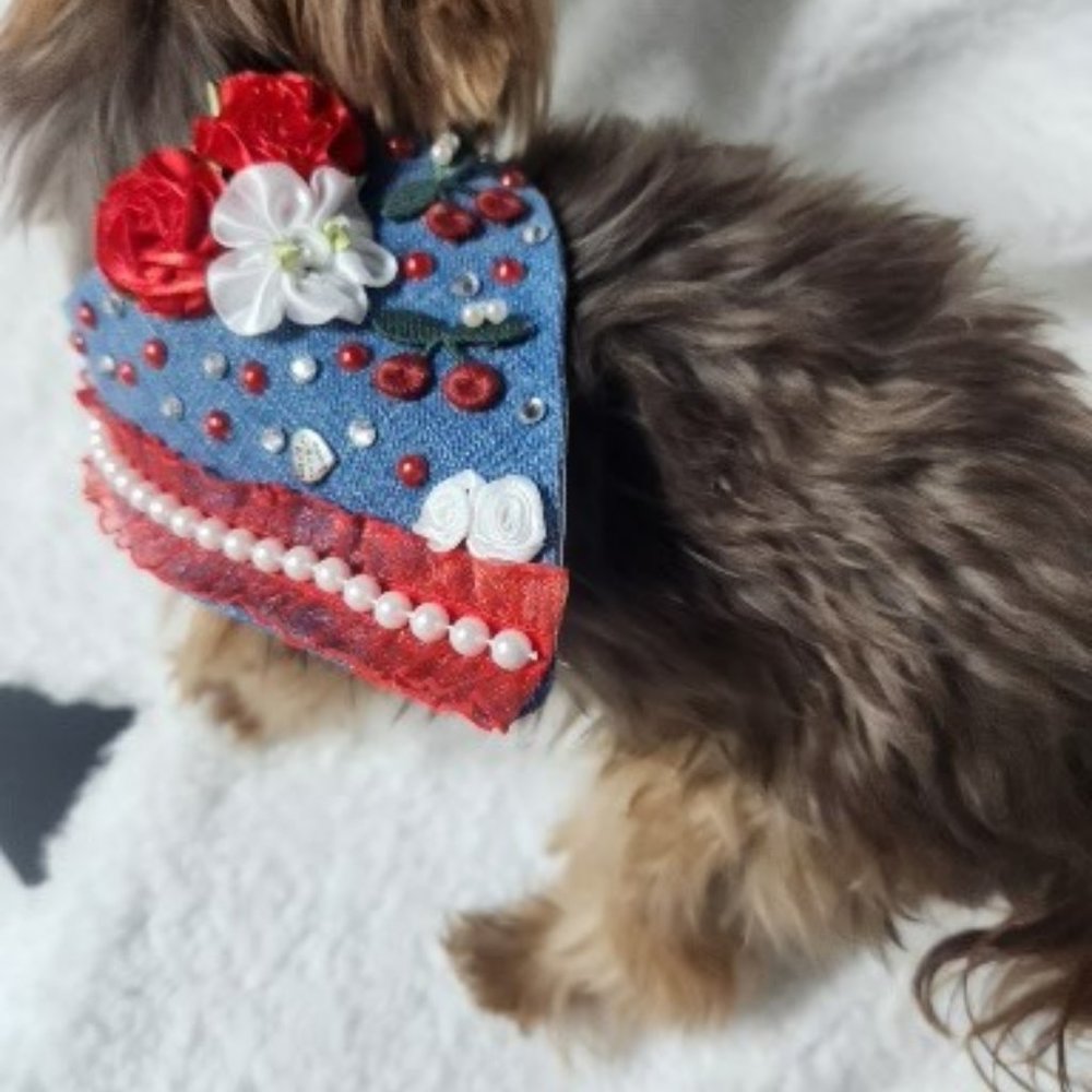 doggie denim bandana